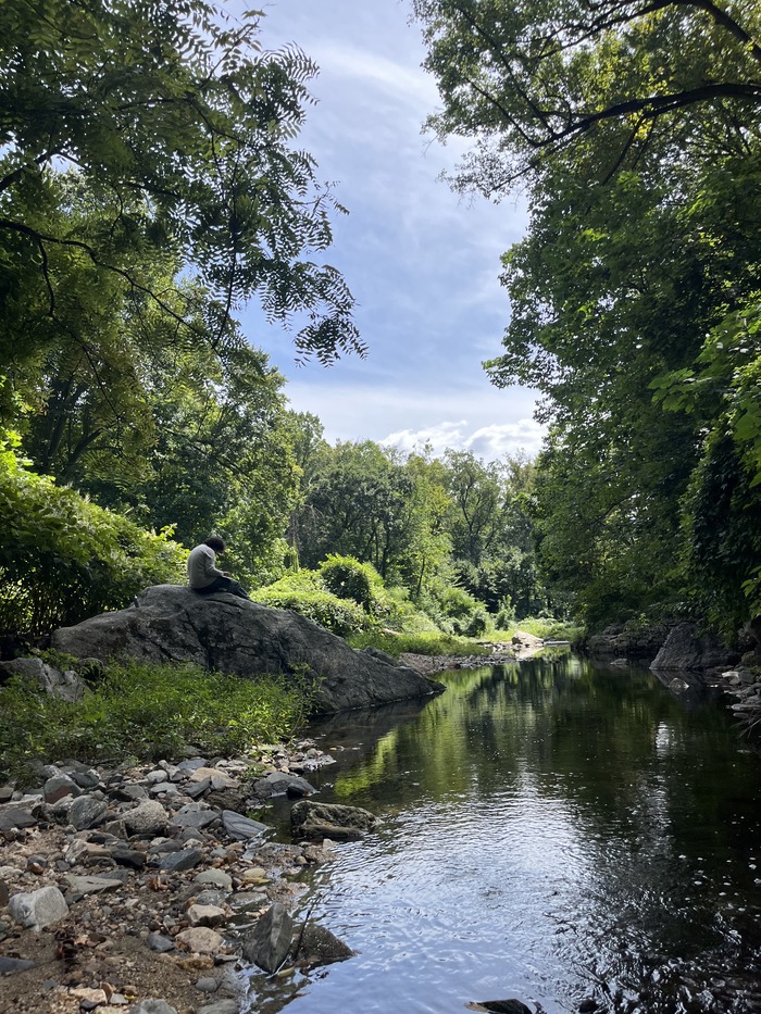 in nature